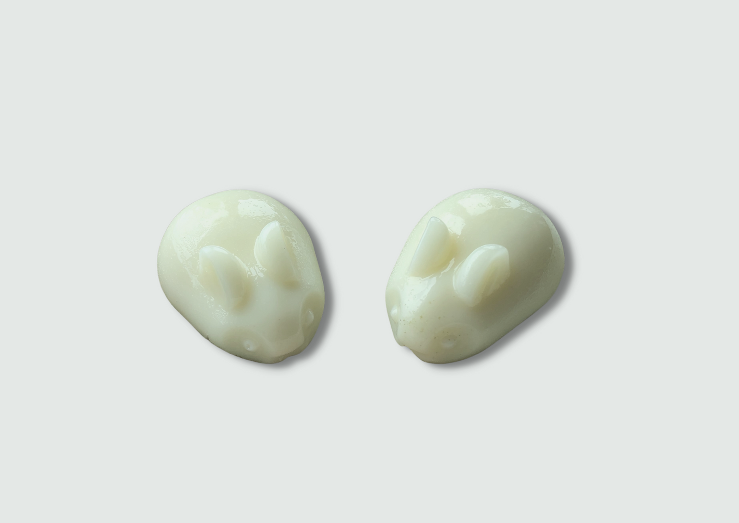Coconut Pudding Starter Kit